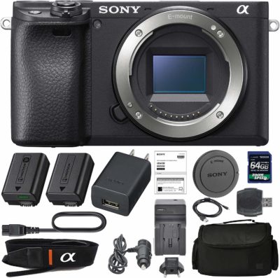 Sony a6100 mirrorless camera