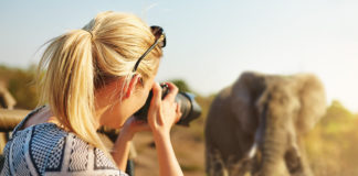 Best camera for wildlife photography Cropped shot of a female tourist taking photographs of elephants while on safari