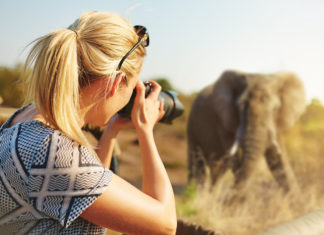 Best camera for wildlife photography Cropped shot of a female tourist taking photographs of elephants while on safari