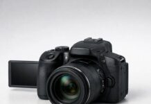 Canon PowerShot SX70 HS review for travel and wildlife