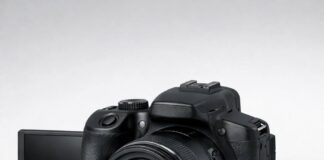 Canon PowerShot SX70 HS review for travel and wildlife
