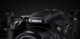Canon PowerShot SX70 HS review for travel and wildlife