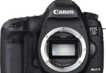 Canon 5D Mark II review from a working photographer canon 5d mark ii review