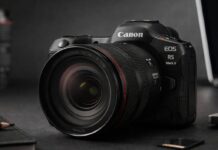 Canon R5 Mark II Review 2026: Wildlife, Video and Hybrid Power canon r5 mark ii review