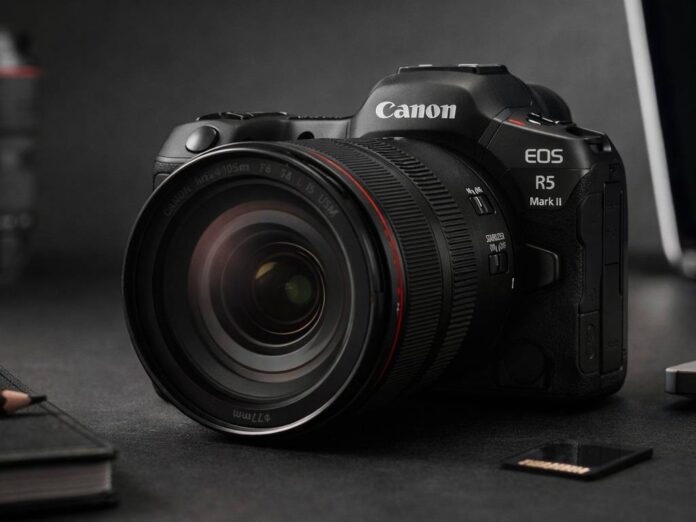 Canon R5 Mark II review for wildlife, video, and travel canon r5 mark ii review
