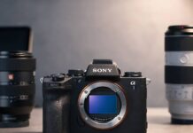 Best Sony a1 II Lenses for Wildlife, Sports and Travel sony a1 ii lenses