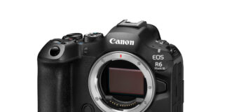 Canon EOS R6 Mark III Review: Worth the Upgrade? Canon EOS R6 Mark III mirrorless camera body