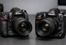 Nikon D5 vs D6: Which Pro DSLR Should You Buy? Nikon D5 vs D6 professional DSLR comparison