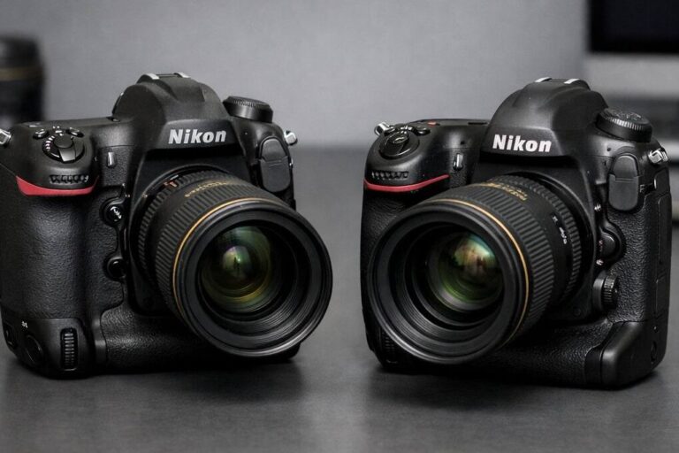 Nikon D5 vs D6 professional DSLR comparison