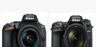 Nikon D5600 vs D7500: Which DSLR Should You Buy? Nikon D5600 and Nikon D7500 DSLR cameras side by side