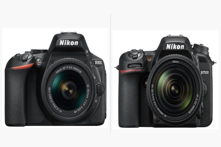 Nikon D5600 and Nikon D7500 DSLR cameras side by side