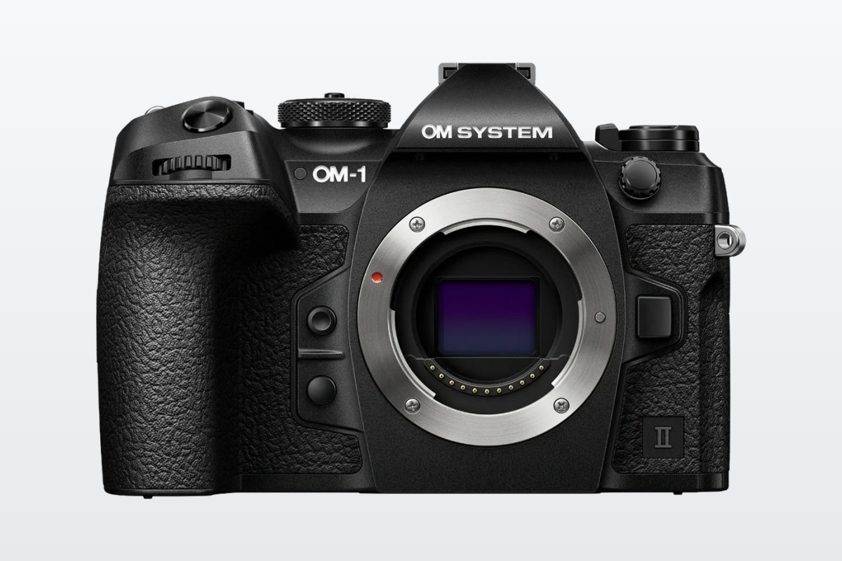 OM System OM-1 Mark II Review: Wildlife Verdict