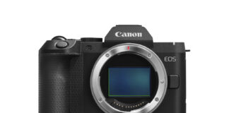 Canon EOS R8 Mark II Review: IBIS, Specs and Buying Advice Canon EOS R8 Mark II front view showing the RF mount and full-frame sensor